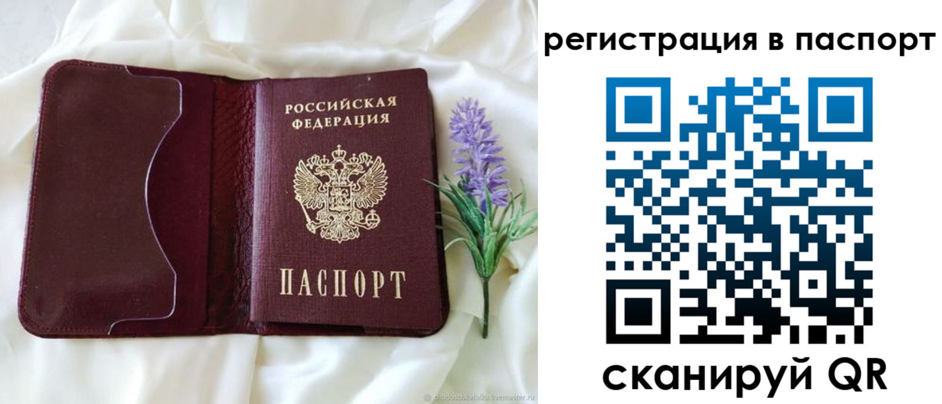 временная регистрация для всех в Калмыкии